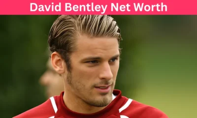 david bentley net worth