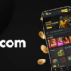 96.com Sports Betting App Features Big Bonuses and Real-Time Cashouts