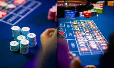 Why Pragmatic Play is a Leader in the Fun World of Online Gaming