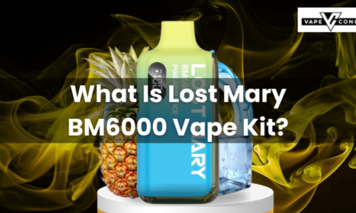 What Is Lost Mary BM6000 Vape Kit?