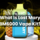 What Is Lost Mary BM6000 Vape Kit?