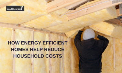 How Better Insulation Helps Homes Stay Comfortable Year Round