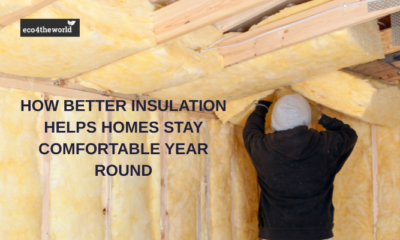 How Better Insulation Helps Homes Stay Comfortable Year Round